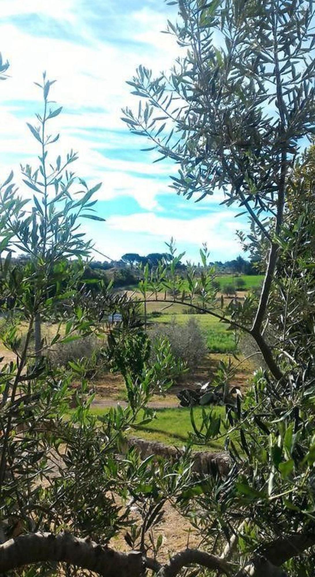 La Mandriana Βίλα Massa Marittima Εξωτερικό φωτογραφία