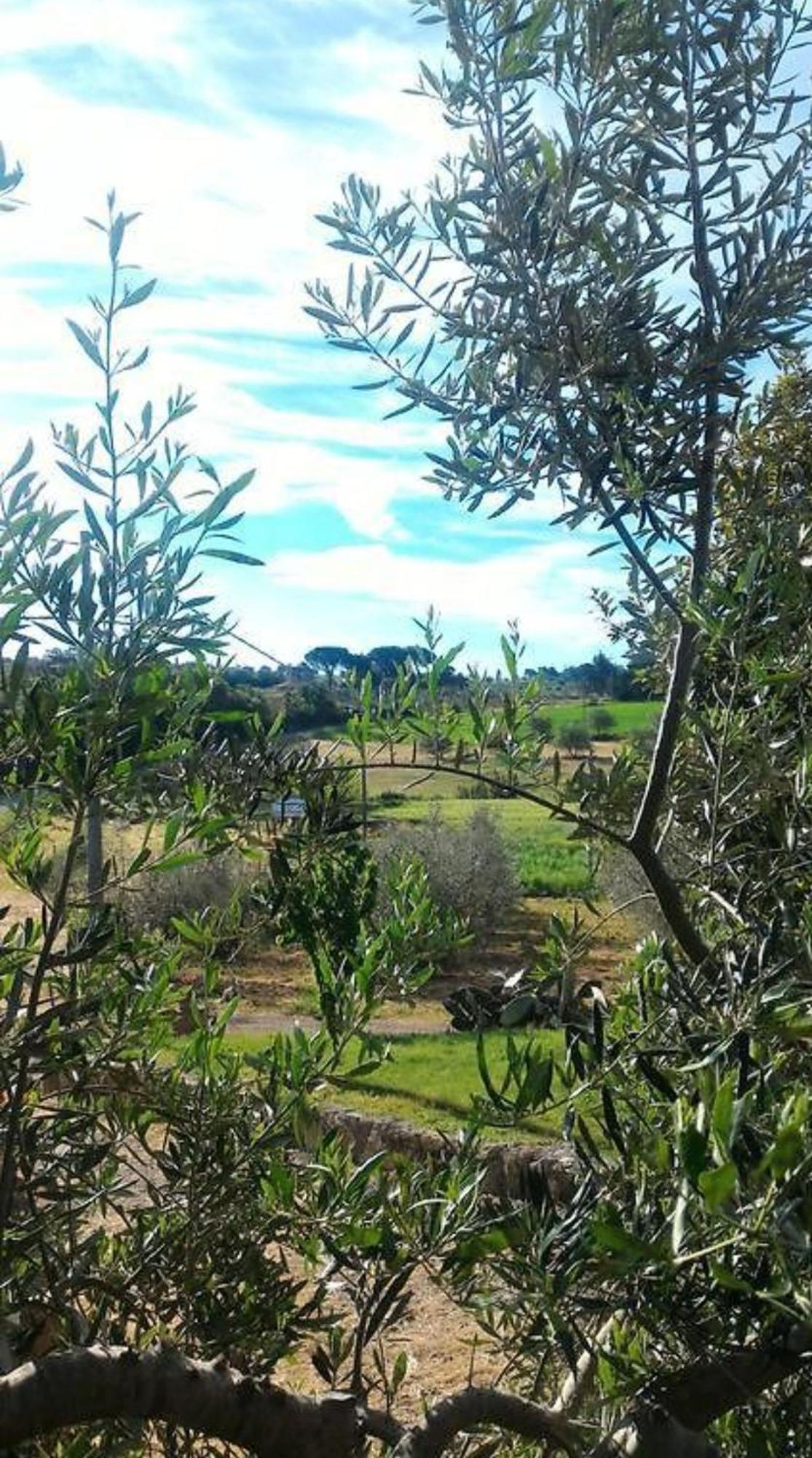 La Mandriana Βίλα Massa Marittima Εξωτερικό φωτογραφία