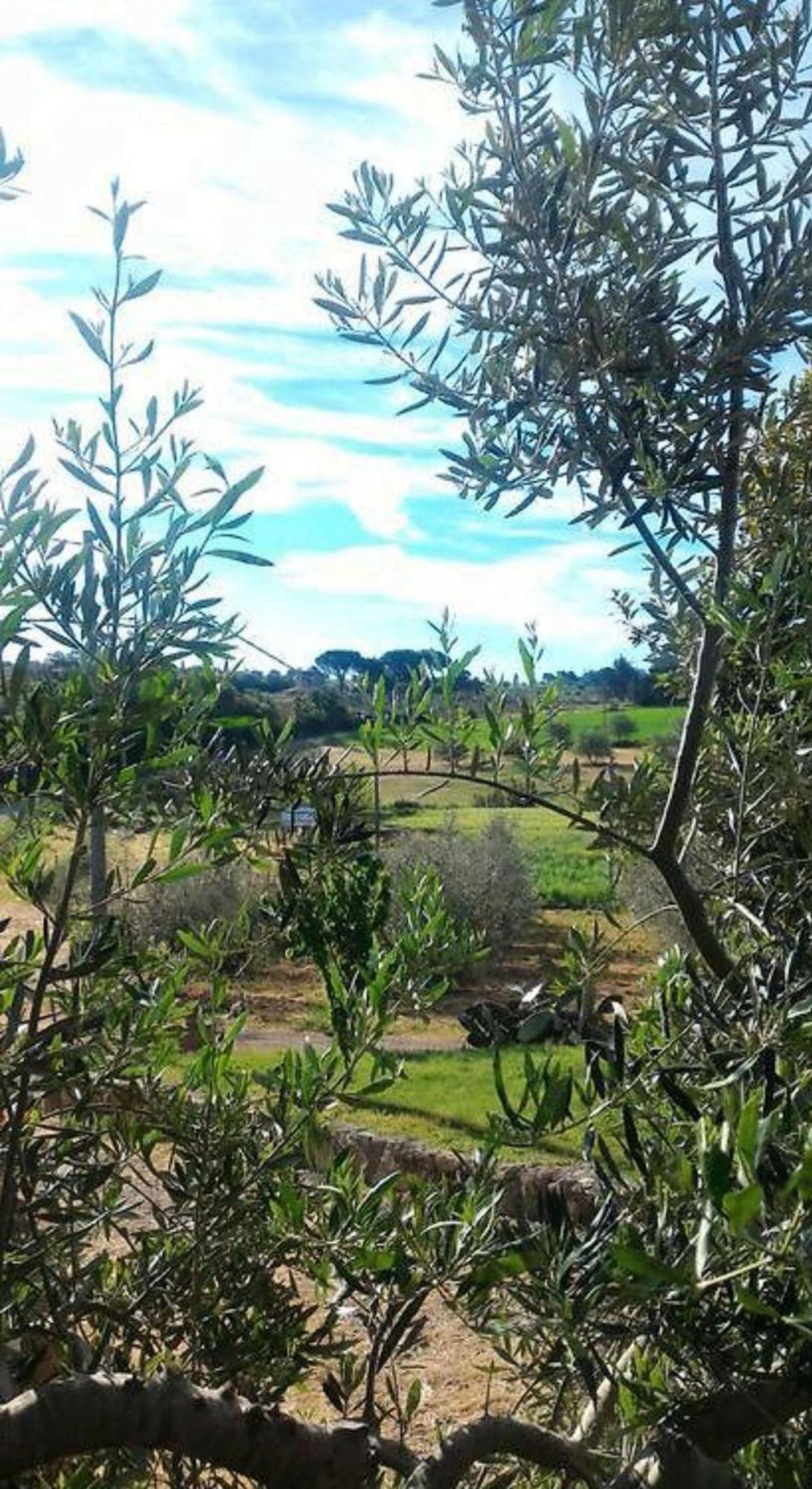 La Mandriana Βίλα Massa Marittima Εξωτερικό φωτογραφία
