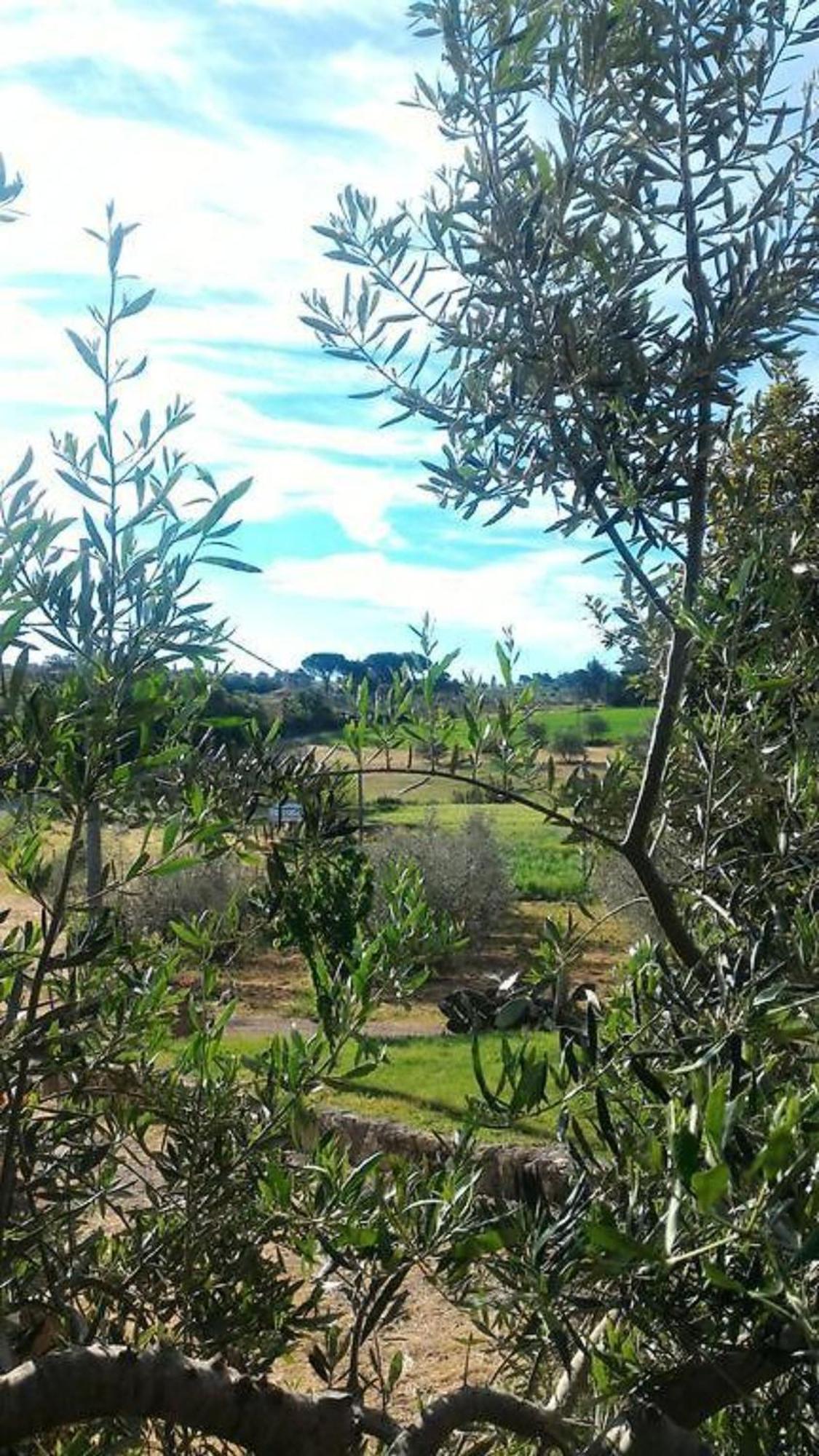 La Mandriana Βίλα Massa Marittima Εξωτερικό φωτογραφία